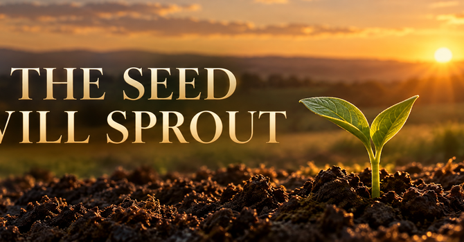 The Seed Will Sprout  image
