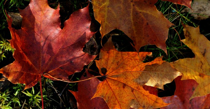 News for October 16th
