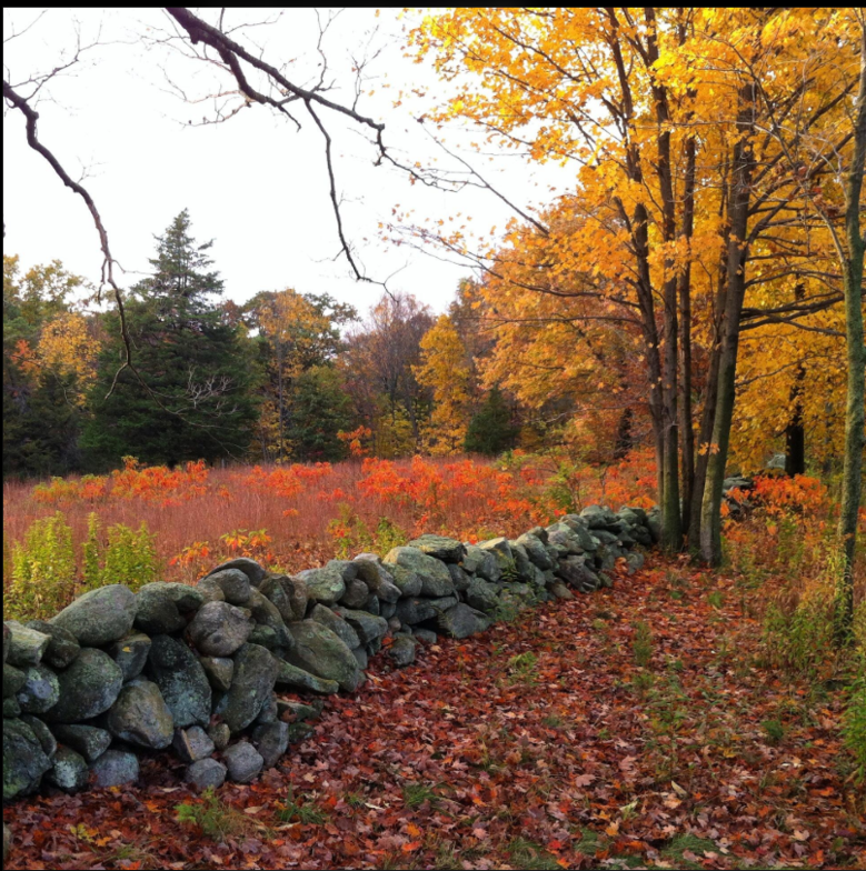 Slideshow image