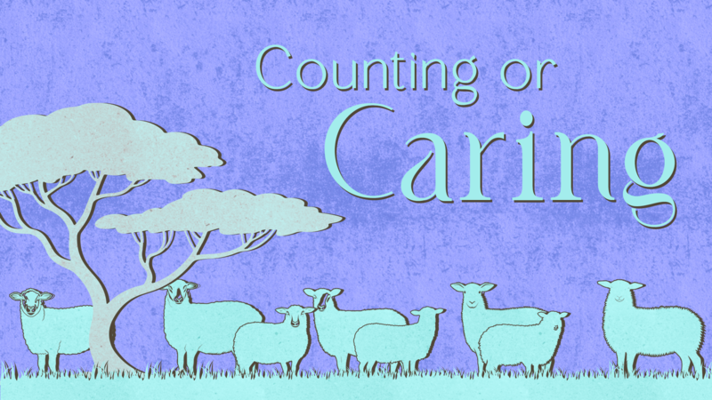 Counting or Caring