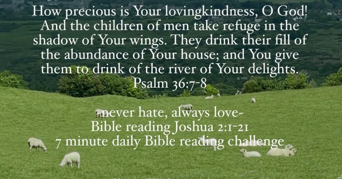 Daily Devotional image