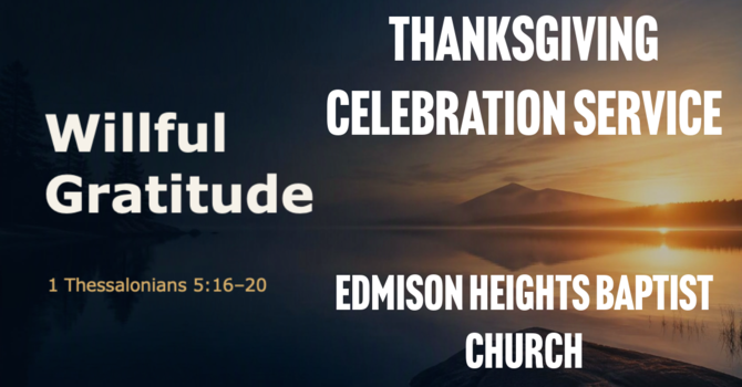 Willful Gratitude
