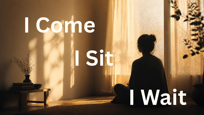 I Came. I Sat. I Wait.