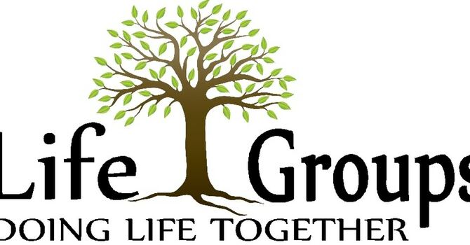 Life Groups - All ages