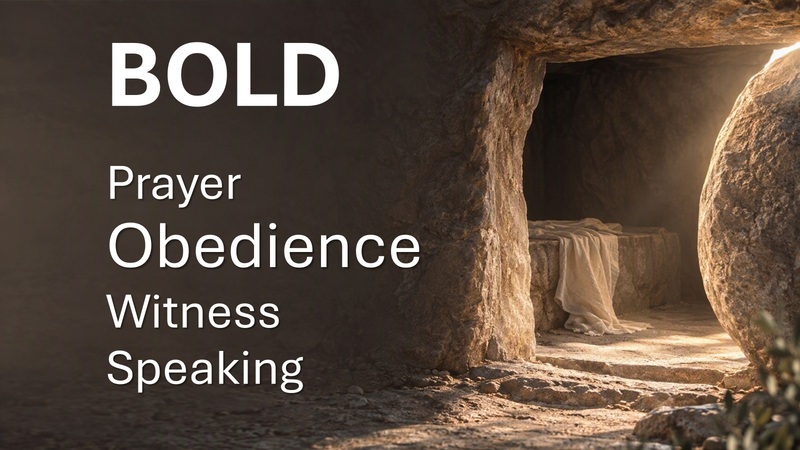 Boldness Part 7