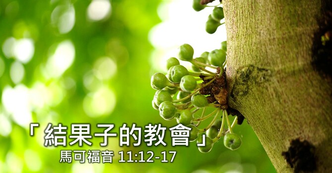 結果子的教會