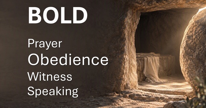 Boldness Part 7