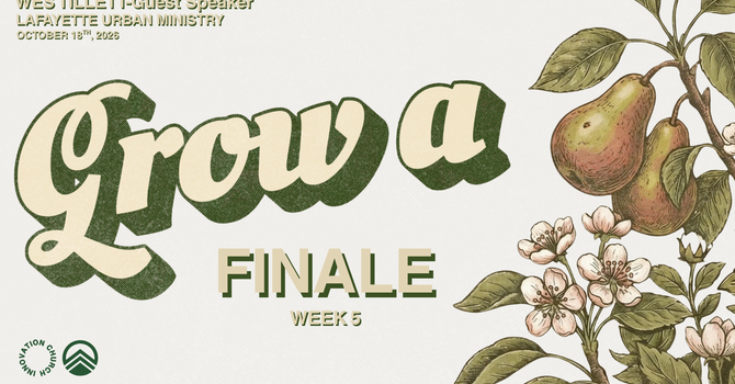 Series Finale