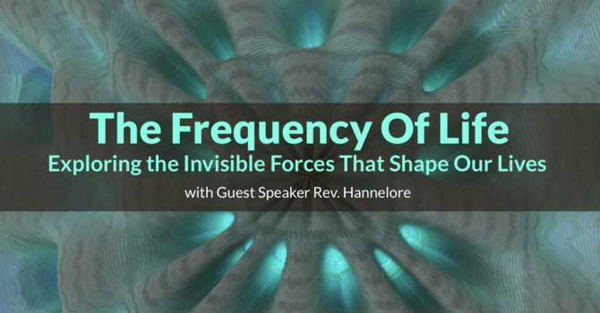 The Frequency Of Life