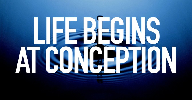Life Beings At Conception