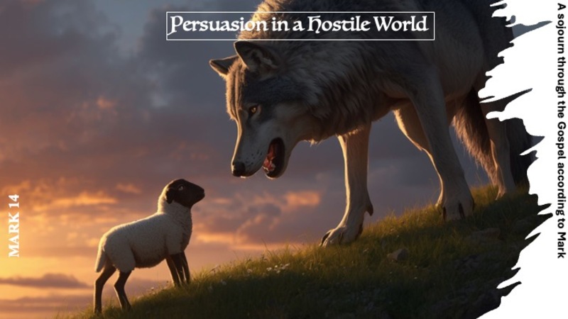 Persuasion in a Hostile World