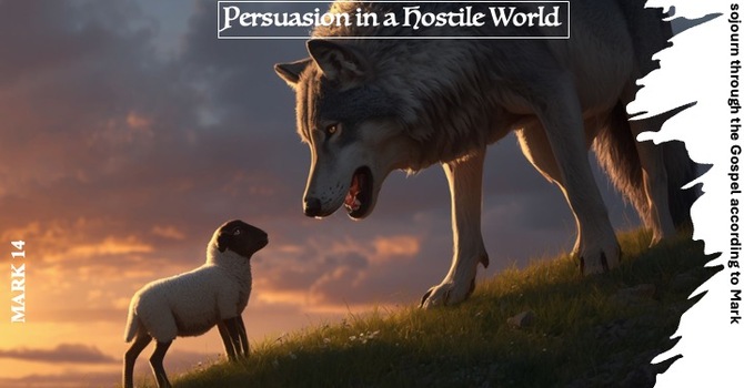 Persuasion in a Hostile World