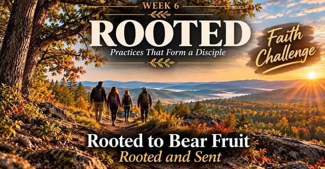 Rooted Week 6 image