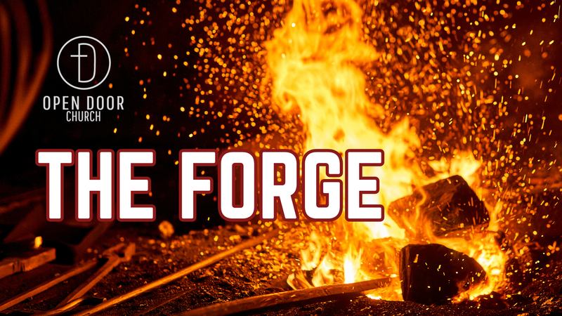 The Forge - Week Seven
