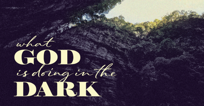What God Is Doing In The Dark: Part 1 - When Wisdom Must Speak