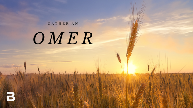 Gather an Omer