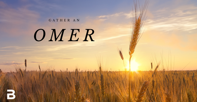 Gather an Omer