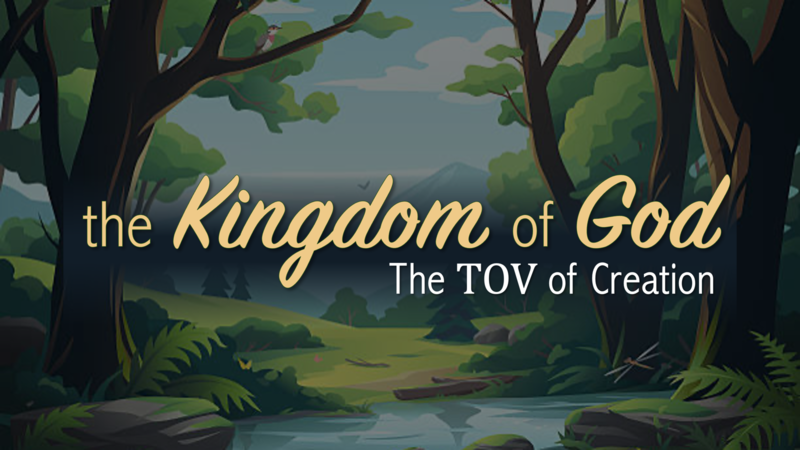 The TOV of Creation