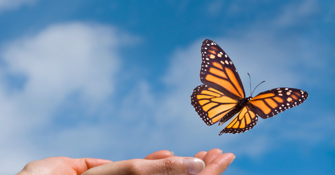 "Give it to God: Faith, Healing & Letting Go."