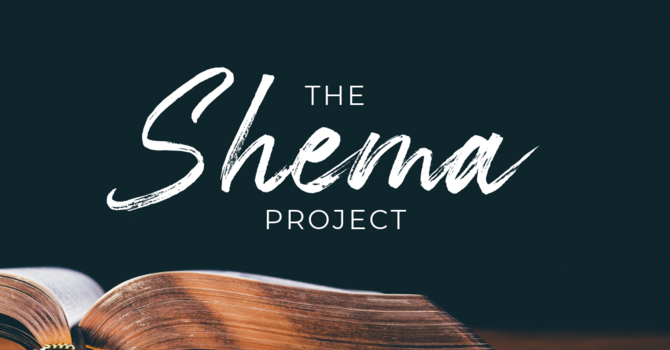 Starter Bible Reading Plan
