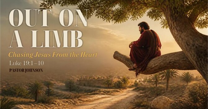 Out on a Limb: What the Story of Zacchaeus Teaches Us About How God Sees You