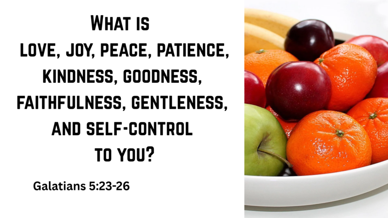 WHAT ARE THE FRUIT OF THE SPIRIT TO YOU?
