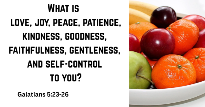 WHAT ARE THE FRUIT OF THE SPIRIT TO YOU?