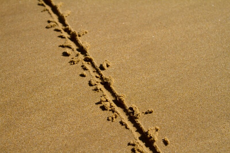 The Only Clear Line