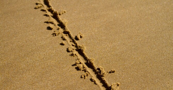 The Only Clear Line