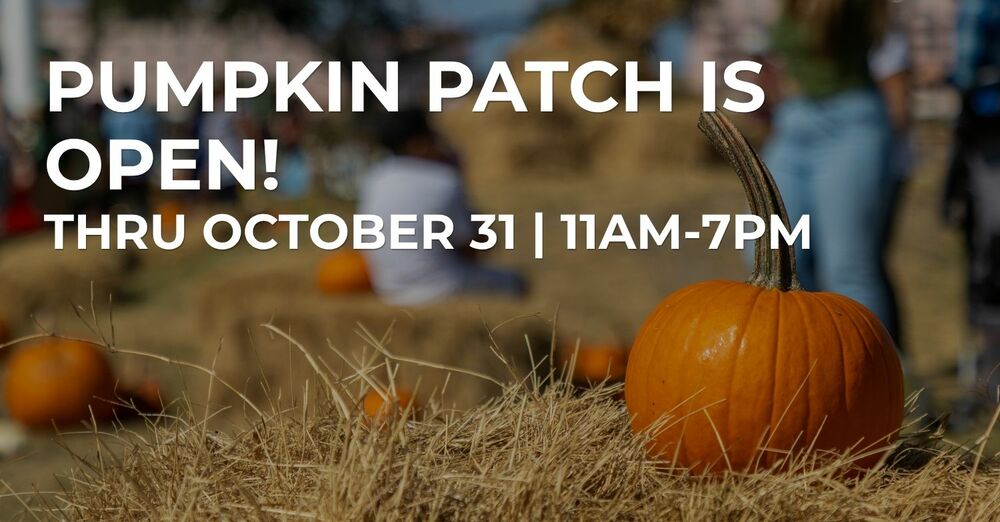 Good Shepherd Pumpkin Patch