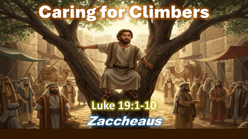 Caring for Climbers