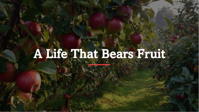 A Life That Bears Fruit