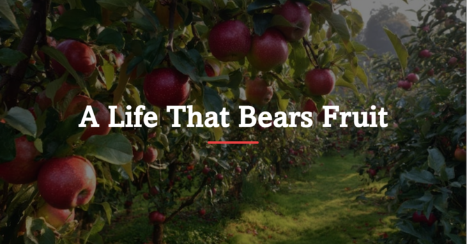 A Life That Bears Fruit
