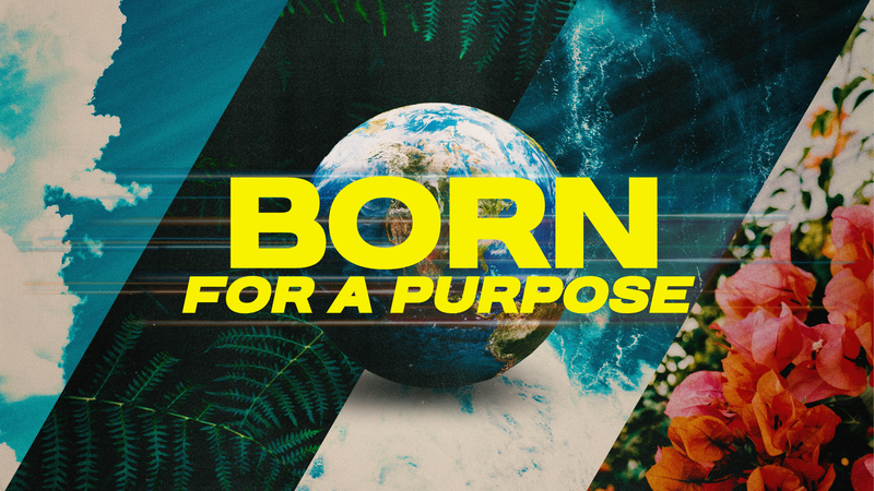 Born for a Purpose