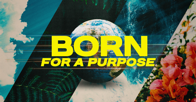 Born for a Purpose