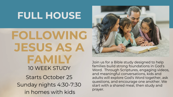 Life Group Studies