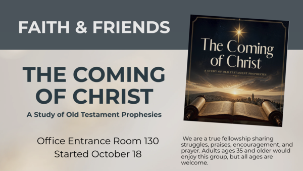 Life Group Studies