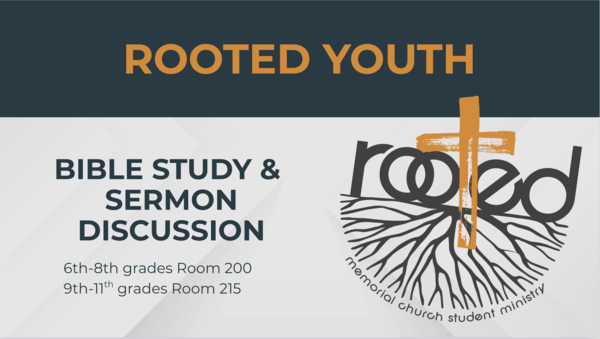 Life Group Studies