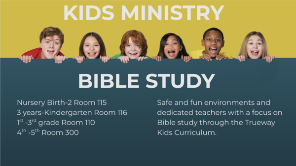 Life Group Studies