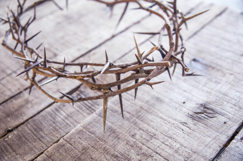 Jesus and His Kingdom