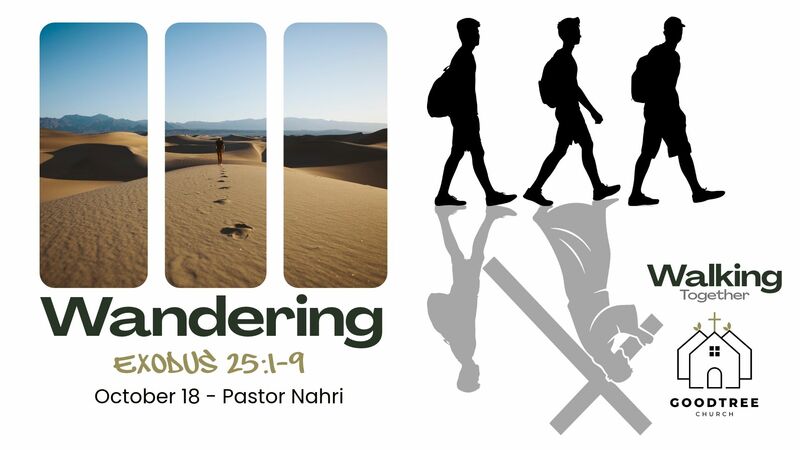 Wandering