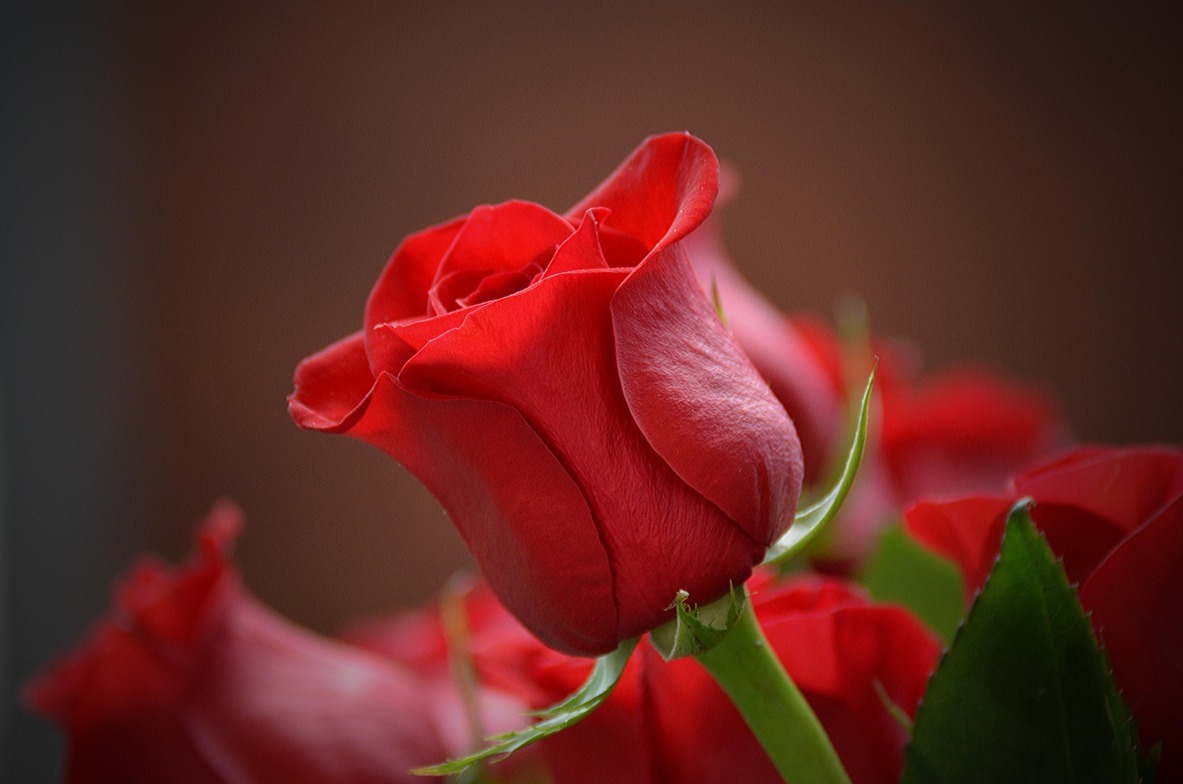 Slideshow image