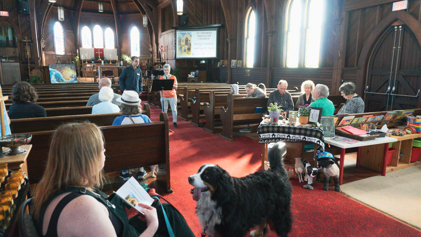 Slideshow image