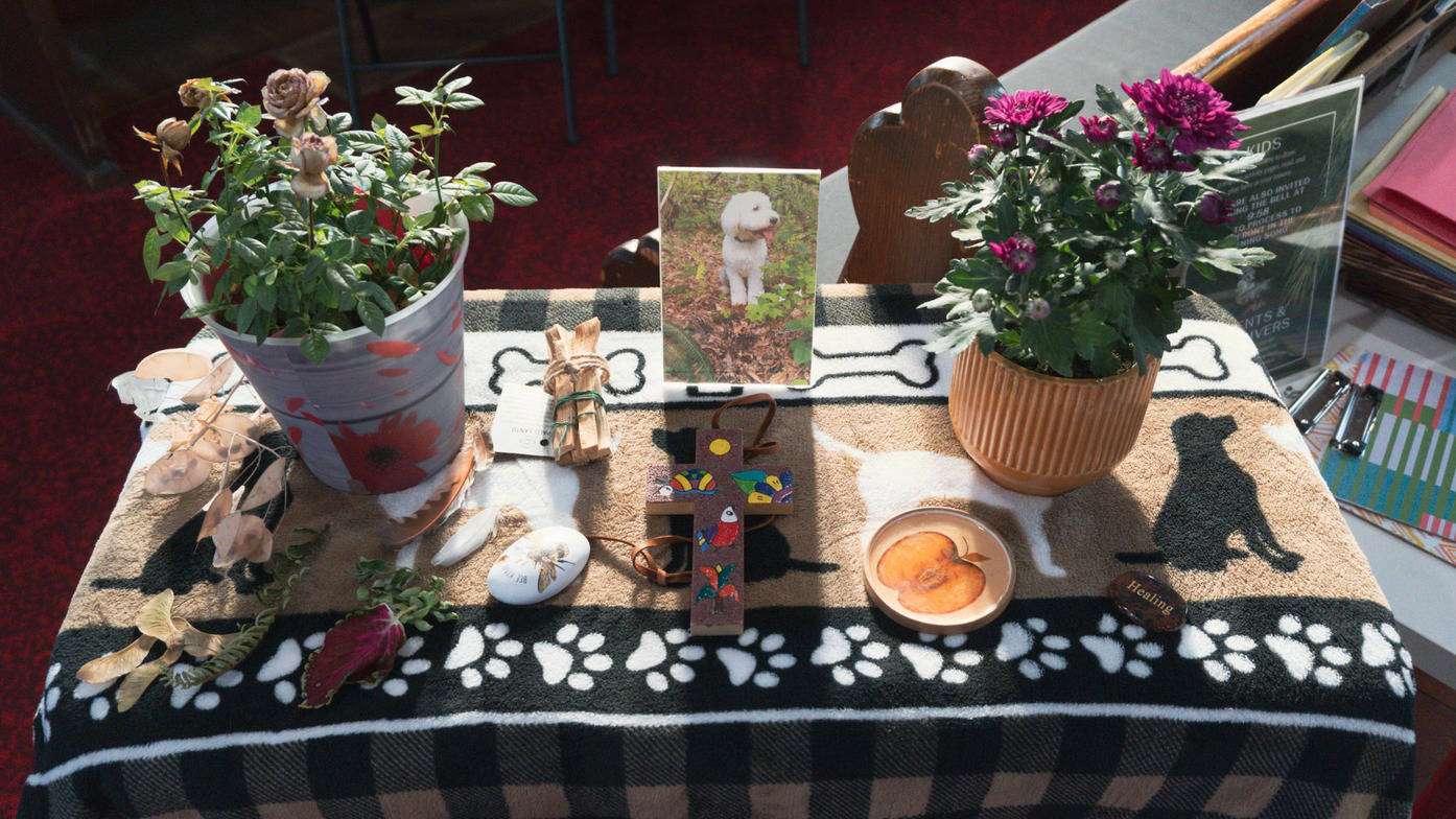 Slideshow image