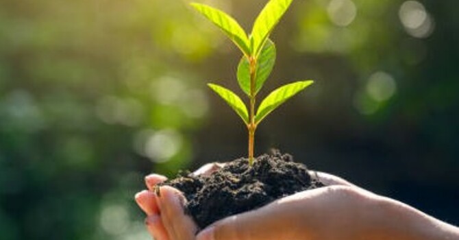 Sunday, Oct 25, at 10:00 a.m. in the YMCA Gym. We will conclude our Stewardship Series with Pastor Sara’s message titled Loving, Serving, Leading, 