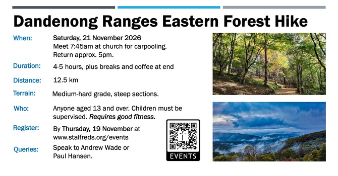 Dandenong Ranges Eastern Forest Hike