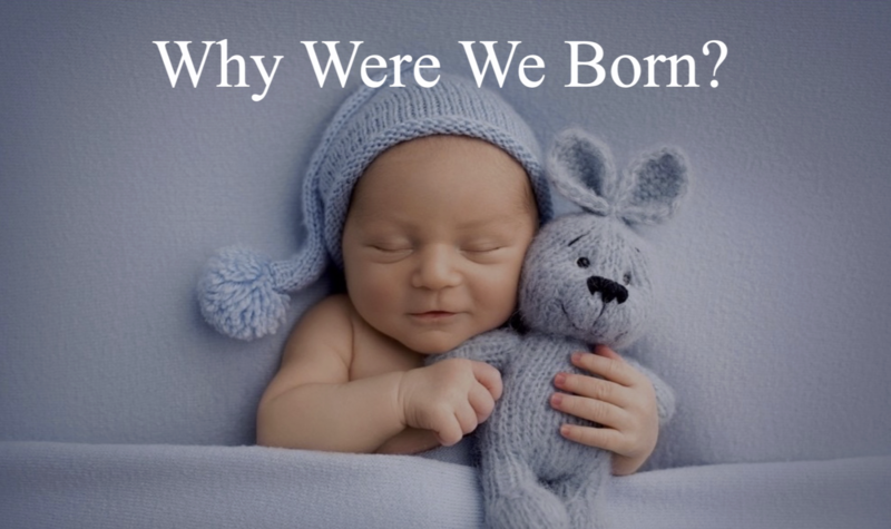 Why Were We Born?