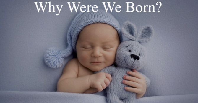 Why Were We Born?