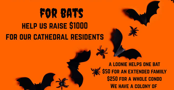 Go Batty Fundraiser image