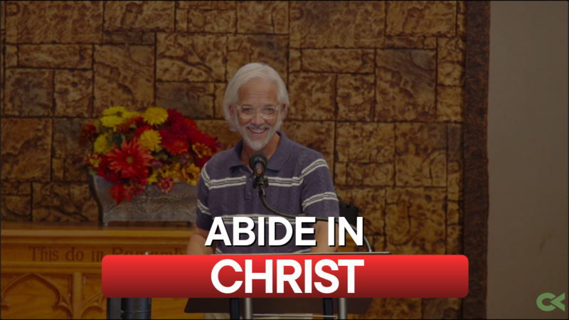 Abide in Christ (1 John 2:18–29)